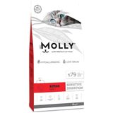 Molly Hypoallergenic Kitten 15 kg Düşük Tahıllı Kuzu Etli Yavru Kedi Maması