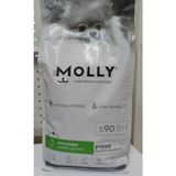 Molly Hypoallergenic Kuzu Etli Mini Irk Yavru Köpek Maması 2 kg