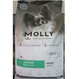 Molly Hypoallergenic Somonlu Mini Irk Yetişkin 8 kg Köpek Kuru Mama