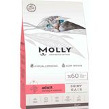 Molly Karidesli Somonlu 2 kg Kedi Maması