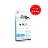 Molly Kitten Düşük Tahıllı Tavuklu Yavru Kedi Maması 1 Kg Açık