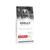 Molly Küçük Irk Hipoalerjenik Kuzu Etli ve Yaban Mersinli Düşük Tahıllı 2 kg Yetişkin Köpek Maması