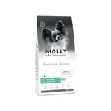 Molly Küçük Irk Hipoalerjenik Somonlu 2 kg Yetişkin Köpek Maması