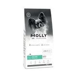 Molly Küçük Irk Hipoalerjenik Somonlu 8 kg Yetişkin Köpek Maması