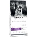 Molly Medium Adult Kuzu Etli & Yaban Mersinli 15 kg Orta ve Büyük Irk Yetişkin Köpek Maması