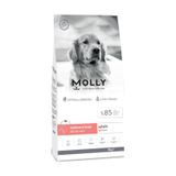 Molly Medium Large Adult Somonlu Yetişkin Köpek Maması 15 Kg