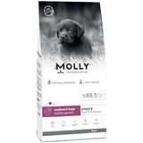 Molly Medium Puppy 2 kg Kuzu Etli & Yaban Mersinli Orta ve Büyük Irk Yavru Köpek Maması