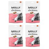 Molly Meow Moments Skin & Coat Deri ve Tüy Bakımı Kedi Ödül Maması 60 Gr. X 4 Adet
