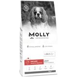 Molly Mini Adult 2 kg Kuzu Etli & Yaban Mersinli Küçük Irk Yetişkin Köpek Maması