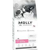 Molly Mini Starter 2 kg Tavuklu ve Yaban Mersinli Anne Yavru Köpek Maması