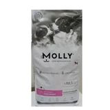 Molly Mini Starter Mother & Babydog Mini Irk 2 KG Anne ve Yavru Köpek Kuru Maması