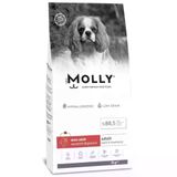MOLLY Molly Kuzu Etli Yaban Mersinli Yetişkin Küçük Irk 2 Kg Köpek maması