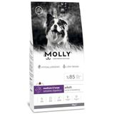 MOLLY Molly Kuzulu Yabanmersinli Orta ve Büyük Irk Köpek Maması 15kg
