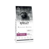 Molly Orta ve Büyük Irk Yavru Köpek Maması Kuzulu & Yaban Mersinli 15 Kg