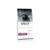 Molly Orta ve Büyük Irk Yavru Köpek Maması Kuzulu&Yaban Mersinli 15kg