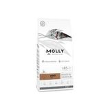 Molly Sensitive Digestion Hipoalerjenik Kuzulu 2 kg Yetişkin Kedi Maması