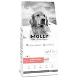 Molly Somonlu Orta Ve Büyük Irk Yetişkin Köpek Maması 15Kg