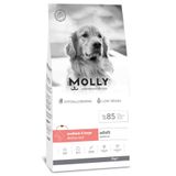 Molly Somonlu Orta Ve Büyük Irk Yetişkin Köpek Maması 2Kg