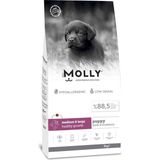 Molly Yavru Kuzulu&yabanmersinli Köpek Maması 2 kg