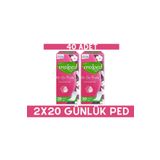 Molped Günlük Parfümsüz Ped Her Gün Ferahlık 20'li X 2 Adet