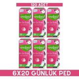 Molped Her Gün Ferahlık 20’li Günlük Ped x 6 Adet