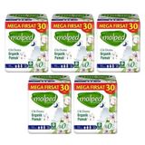 Molped Pure Soft Mega Hijyenik Ped Gece Ultra 30 lu x 5 Adet