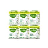 Molped Pure&soft Hijyenik Ped Süper Ekonomik Normal 24 Lü 6 Adet