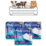Moly Köpek Çiş Eğitim Pedi 3 Paket