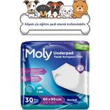 Moly Köpek Çiş Eğitim Pedi 30'lu