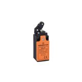Momentum Limit Switch Düz Kol Makaralı MLP-25121
