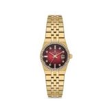Momentus Women's Shiny Star Ss264g-14Sg Kadın Kol Saati