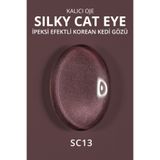 MOMO professional Korean Cat Eye, Silky Cat Eye, Kedi Gözü Oje, SC13 Kahverengi, 10 ml