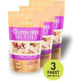 Mom's Natural Foods Glutensiz Meyveli MÜSLİ 3 Paket 300 g Yüksek Lif ve Protein İçerir - 900 gr