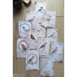 Mona Craftist 12 Adet Scrapbook Eskitme Kuş Dantel Temalı Scrapbook Kağıt Seti Bullet Journal Dekupaj Kağıdı