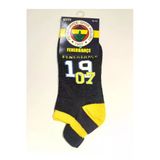 Monalisa Home Taraftar Fenerbahçe 1903 Yazılı Çorap