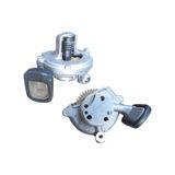 Mondial Mct Ramzey Seyhan 250 Yag Pompasi Komple