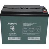 Monero Akü 12 V 45 AH Elektrikli Bisiklet Aküsü (223*121*174) Swan Monero