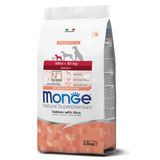 Monge Mini Adult Tek Proteinli Somonlu Pirinçli Yetişkin Köpek Maması 2,5 Kg