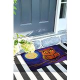 Monnhein Baykuş Kapı Önü Paspası Dekoratif Kapı Paspası Dış Mekân Paspas Ev İçi Paspası 45x70cm
