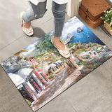 Monnhein Kapı Önü Paspası - Modern ve Şık Kapı Paspası | Ev, Ofis ve Dış Mekân Kullanımı İçin (Tablo) 40x60