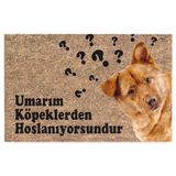 Monnhein Kedi Köpek Komik Tasarımlı Dekoratif Kapı önü Paspas, Dış Mekan/Ev İçi/Banyo/Mutfak/Yatak Odası/Giriş Paspasları (Umarım Köpeklerden Hoşlanıyorsundur, 45x70)