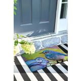 Monnhein Limon Kapı Önü Paspası Dekoratif Kapı Paspası Dış Mekân Paspas Ev İçi Paspası 45x70cm