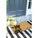 Monnhein Renkli Zebra Kapı Önü Paspası Dekoratif Kapı Paspası Dış Mekân Paspas Ev İçi Paspası 45x70cm