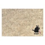 Monnhein Tasarımlı Dekoratif Kapı önü Paspas, Dış Mekan/Ev İçi/Banyo/Mutfak/Yatak Odası/Giriş Paspasları (Hasır Cat, 40x60)