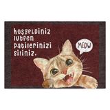 Monnhein Tasarımlı Dekoratif Kapı önü Paspas, Dış Mekan/Ev İçi/Banyo/Mutfak/Yatak Odası/Giriş Paspasları (Patilerinizi Siliniz, 40x60)