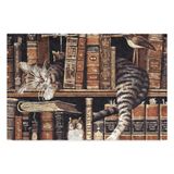 Monnhein Tasarımlı Dekoratif Kapı önü Paspas, Dış Mekan/Ev İçi/Banyo/Mutfak/Yatak Odası/Giriş Paspasları (Uykucu Kedi, 45X70)