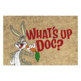Monnhein Tasarımlı Dekoratif Kapı önü Paspas, Dış Mekan/Ev İçi/Banyo/Mutfak/Yatak Odası/Giriş Paspasları (Whats Up Doc, 45X70)