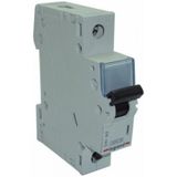Monofaze 1X20a B Tipi Otomatik Sigorta 4,5Ka