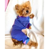 Monogram Purp Köpek Tulum Pijama XL