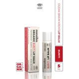 Monoibio Buriti Organik Onarıcı Dudak Bakım Kremi - Kuru Ve Çatlak Dudaklar Için Nemlendirici Lip Balm 5 ml